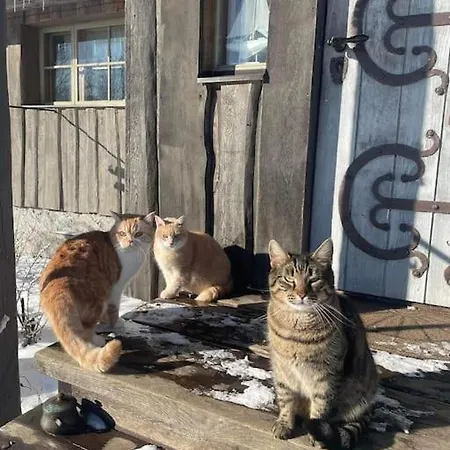 Дом отдыха Kaja Курессааре